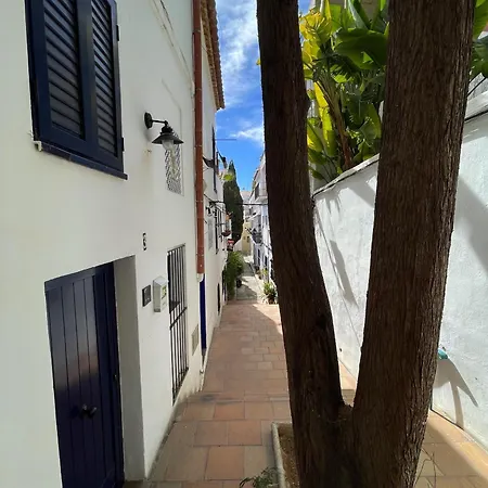Charming Casa In Centre & Minutes To Vakantiehuis *